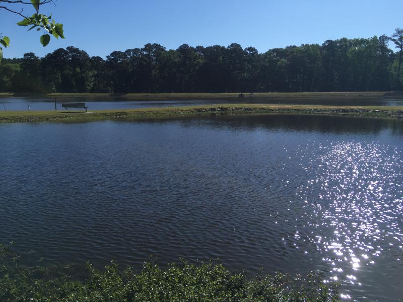 Crenshaw County PFL Outdoor Alabama